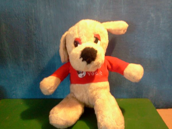 Cachorro EU AMO VOCÊ