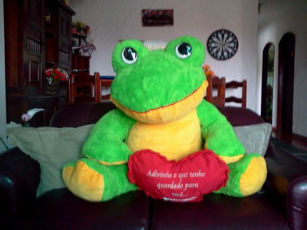 Sapo Apaixonado