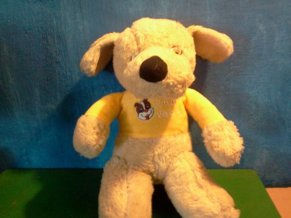 Cachorro EU AMO VOCÊ amarelo