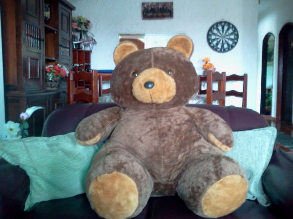 Urso TEDDY
