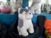 Cachorro Rask Siberiano