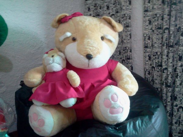 PELÚCIA ROSA COM FILHOTE