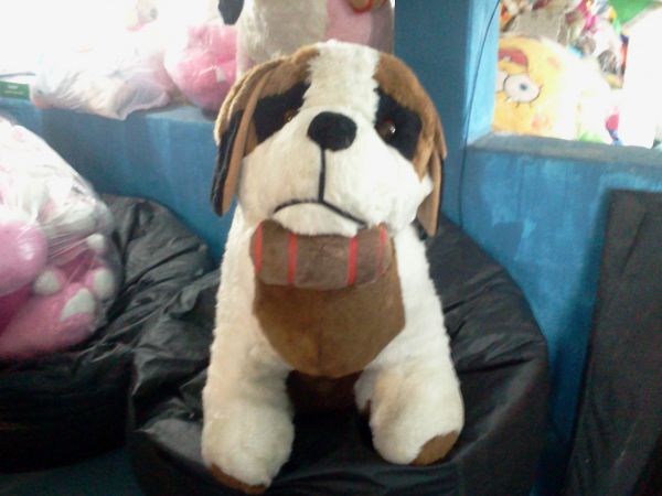 Cachorro São Bernardo